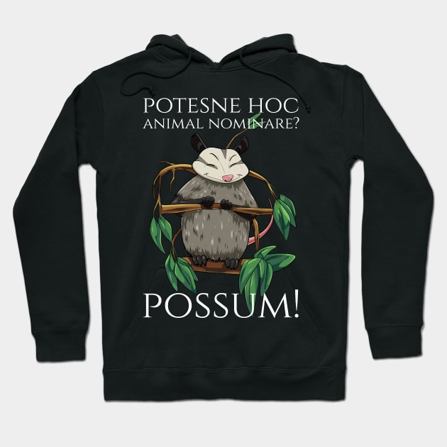 Classical Latin Language Meme - Possum - Wordplay Pun Hoodie by Styr Designs